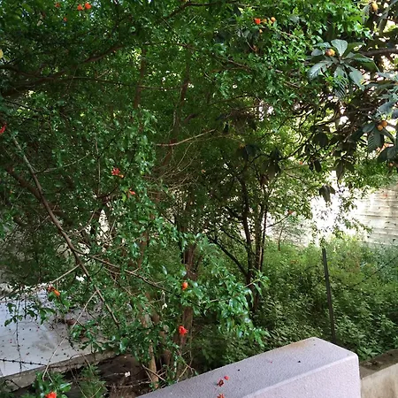 Konakli Izmir